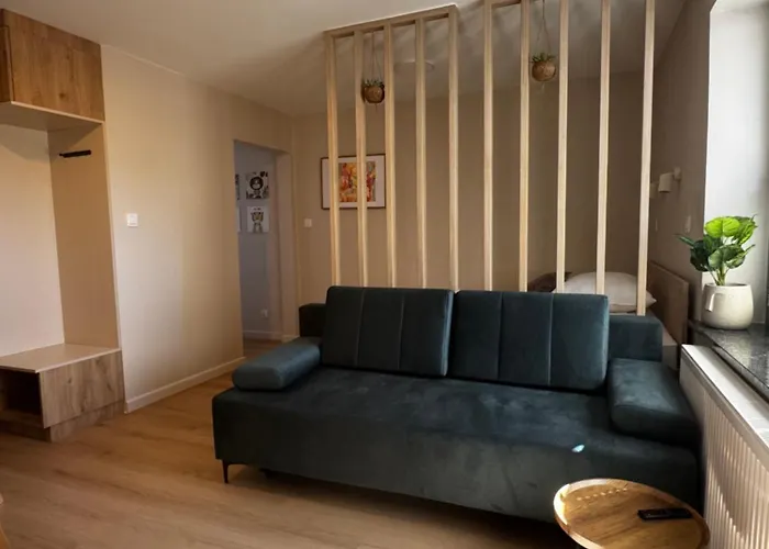 公寓 Monic Muszla 梅彻林基