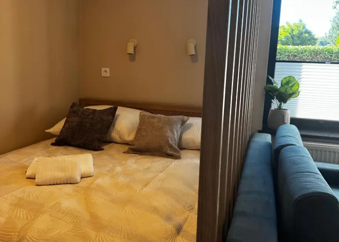 Monic Muszla 梅彻林基